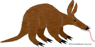 Résultat de recherche d'images pour "aardvark"