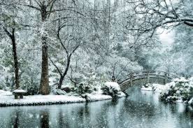 Snow At Japanese Garden Fort Worth Texas Fort Worth Texas Japanese Garden Snow In Japanese Storm Lake
