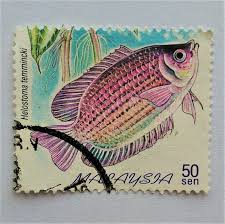 However, much of the research is driven on individual basis, rather. Freshwater Fishes Of Malaysia 3 Stamp Freshwater Fish Stamp Stamp Values