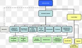 Organizational Chart Family Tree Family Tree Png