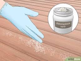 These treatments are usually liquid based and used to saturate the mound. How To Kill Flying Ants 12 Steps With Pictures Wikihow