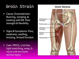With rest and proper treatment, most. Injuries Of The Thigh Hip Groin Pelvis Ppt Download
