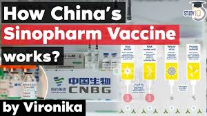 It is normal to have certain reactions after a vaccination: China Covid Vaccine Sinopharm Gets Emergency Use Approval From Who Facts About Sinopharm Vaccine