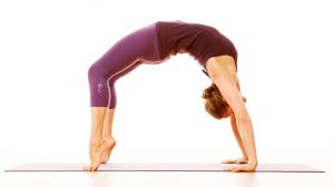 Pose Of The Week Wheel Pose Urdhva Dhanurasana Ekhart Yoga