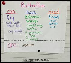 Must Make Kindergarten Anchor Charts Kindergarten Anchor