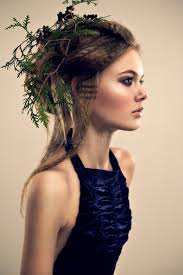 4,132 Long Fern Stock Photos