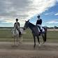 Tooradin-Dalmore Pony Club Dressage Day event image