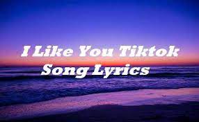 I Like You Tiktok Song Lyrics Song Songlyricsplace