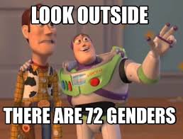Meme Maker Look Outside There Are 72 Genders Meme Generator