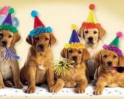 Rock, reggae, rap and roll or jazz! Singing Dogs Ecard American Greetings