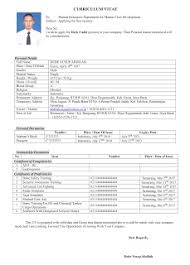 Berikut ini curriculum vitae yang baik dan benar serta menarik perhatian yang dapat anda gunakan dalam tema maupun format penulisan surat. Contoh Curriculum Vitae Cadet Pelayaran