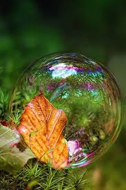 Nature Wallpapers For Phone 640x960 Download Hd Wallpaper Wallpapertip Nature wallpapers nature full hd 1080p.