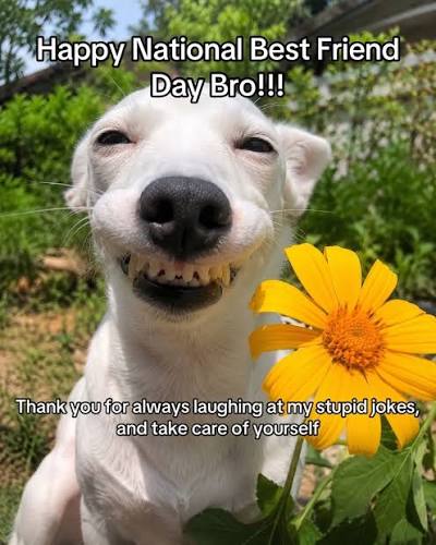 Today is National Best Friend Day and the science behind why your best  friend matters more than you probably realize is worth knowing. Research in  social psychology consistently shows that having at
