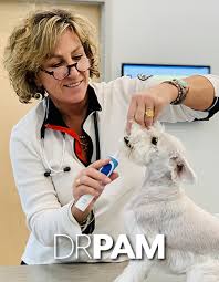 We did not find results for: Meet Our Staff Animal Care Daybreak Daybreak Ut