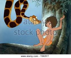 Some of these pictures and descriptions may give away plot details that you might not want to know before watching the film. Mowgli Kaa The Snake The Jungle Book 1967 Stock Photo Alamy