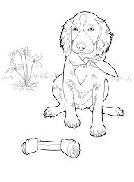 Imagini de colorat cu animale domestice. Pin By Mandache Victoria On Dogs Cats Hamsters Puppy Coloring Pages Dog Coloring Page Horse Coloring Pages