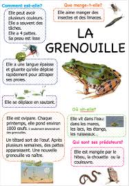 Narramus Petite Taupe Ouvre Moi Ta Porte La Maternelle De Vivi La Petite Taupe Apprendre L Heure Taupe