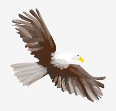 Fast delivery & great customer service. Cute Eagle Cute Bird Flying Eagle Cartoon Eagle Hand Drawn Eagle Eagle Hit The Sky Cute Eagle Png Transparent Clipart Image And Psd File For Free Download