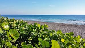 See for yourself why these looks sell out over and over. 11 Top Rated Things To Do In Juno Beach Fl Planetware