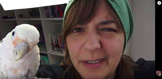 Paulquaratello youtube channel review