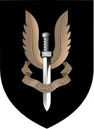 Pin On Air Badge Patches I