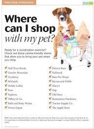 Dog Training Advice Click Pic For Lots Of Dog Obedience And Care Ideas Dog Dogobediencetraining Puppy Socialization Dog Training Dog Training Obedience