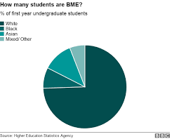 Five Charts That Tell The Story Of Diversity In Uk