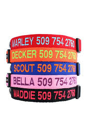 Explore a wide range of the best dog collar on aliexpress to find one that suits you! 20 Cool Dog Collars Best Useful And Stylish Dog Collars