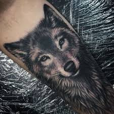 Pin By Andreea Madallina On Tatto Wolf Tattoos Animal Tattoos Small Girl Tattoos