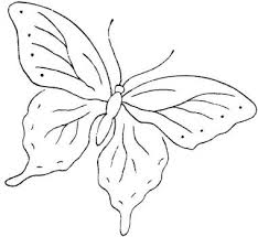 Farfalla Disegni Disegni Da Colorare Immagini