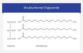 Was Bedeuten Erhohte Triglyceride