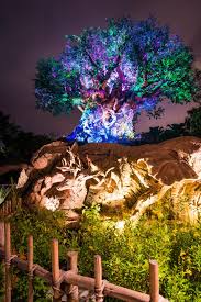 A Guide To Nighttime Attractions At The Animal Kingdom Animal Kingdom Disney Disney World Florida Animal Kingdom Park