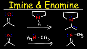 Imines are the nitrogen analogues of aldehydes and ketones, containing a c=n bond instead of a c=o bond. Imine And Enamine Formation Reactions With Reductive Amination Youtube