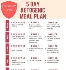 Vegetarian keto diet food list fats nuts. Keto Diet Plan Indian Vegetarian Pdf