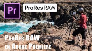 Inicia o abre un proyecto en adobe premiere pro. Como Usar Prores Raw En Premiere Pro Cc Atomos Sony Fs5 Fs700 Nikon Z7 Panasonic S1h Youtube