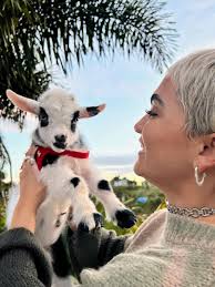 Ruteando Mi Isla added a new photo.