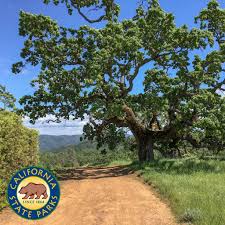 Coe state park is the largest state park in northern california and protects and preserves 87,000 acres of scenic hills and mountain ridges in the diablo mountain range. Henry W Coe State Park Home Facebook