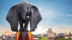 Video indisponibil alte probleme (descrie problema). Dumbo 2019 Dublat In Romana