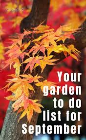Gardening In September Jobs To Tackle This Month Growing Family Planting Bulbs In Spring Growing Family Easy Garden