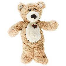 First Stuffedanimalsteddybears Teddy Bear Stuffed Animal Teddy Bear Teddy