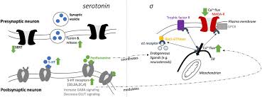 Image result for Dexfenfluramine