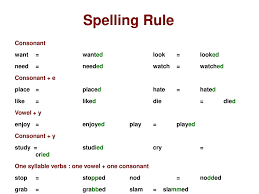 Simple Past Tense Positive Ppt Download