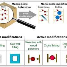 Lectures aimed at engineering undergraduates. Pdf Wood Modification Technologies A Review