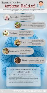 Essential Oils For Asthma Relief Doterra Expectorante Oleos Essencias