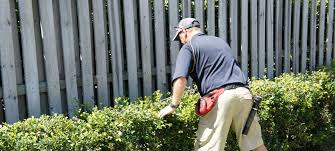 Tourists and residents alike will visit the downtown and we are a family owned pest control company in west palm beach that has serviced south florida for over 50 years. Sydney Pre Purchase Building Pest Inspections Inspect My Home