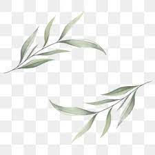 Watercolor Leaves Png Images Vector And Psd Files Free Download On Pngtree Watercolor Leaves Leaf Images Leaf Clipart