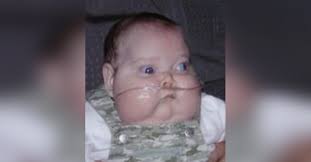 Obituary information for Harley Ann Shiffer