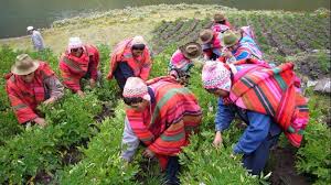 Todos tienen una forma particular de bailarse que se diversifica aun más de acuerdo al canto que se esté interpretando, ejecutando variantes en parejas o solitarios. Cual Es El Origen Del Dia Del Campesino En El Peru Rpp Noticias
