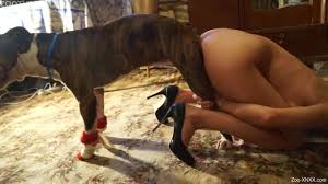 Zoo Porn Silvia – Telegraph