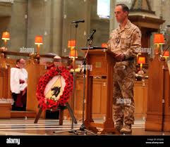Brigadier tim radford hi-res stock photography and images